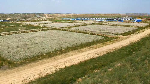 8868体育官方网站-最新体育赛事直播平台