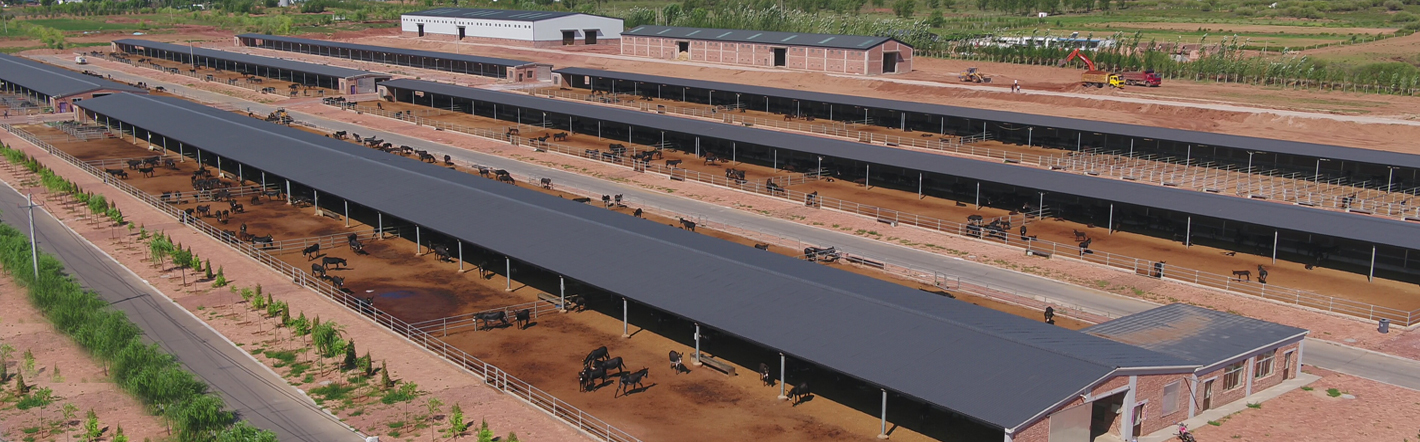 8868体育官方网站-最新体育赛事直播平台